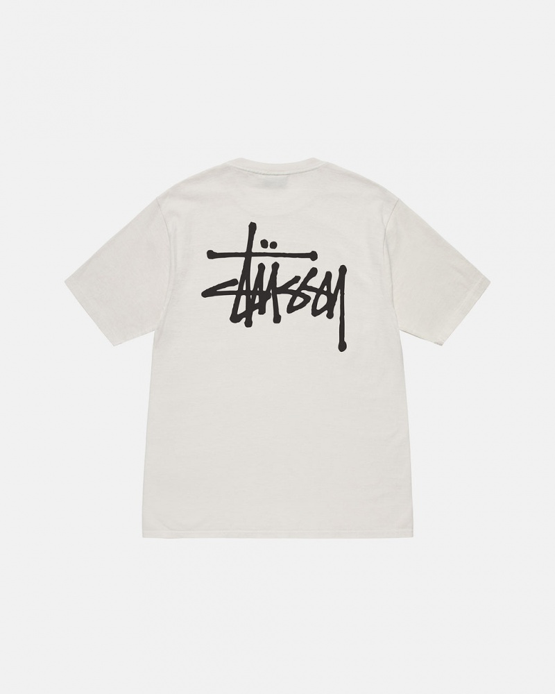 Men\'s Stussy Basic Stussy Tees Beige Ireland | DBI-2923