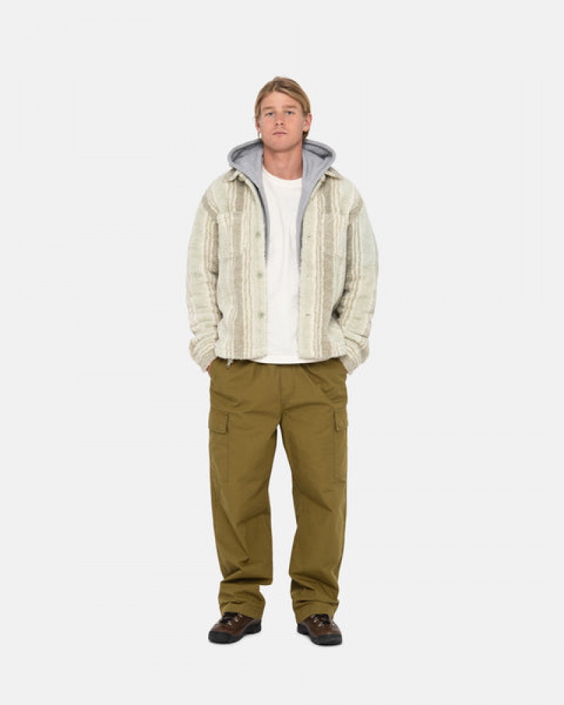 Men's Stussy Beach Pant Ripstop Cargo Pants Brown Ireland | ABJ-8895