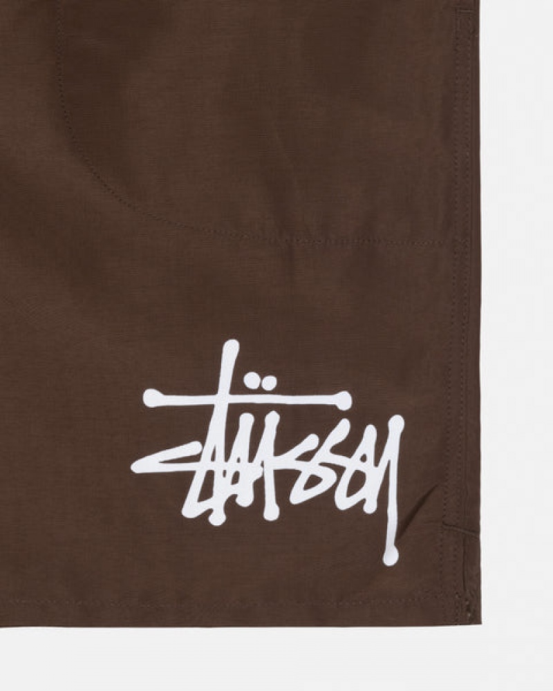 Men's Stussy Big Basic Water Short Swimwear Coffee Ireland | GIU-0226