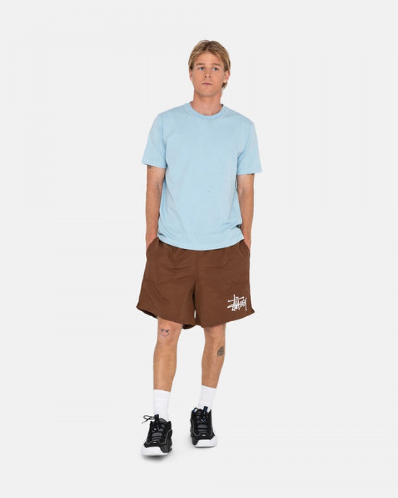 Men's Stussy Big Basic Water Short Swimwear Coffee Ireland | GIU-0226