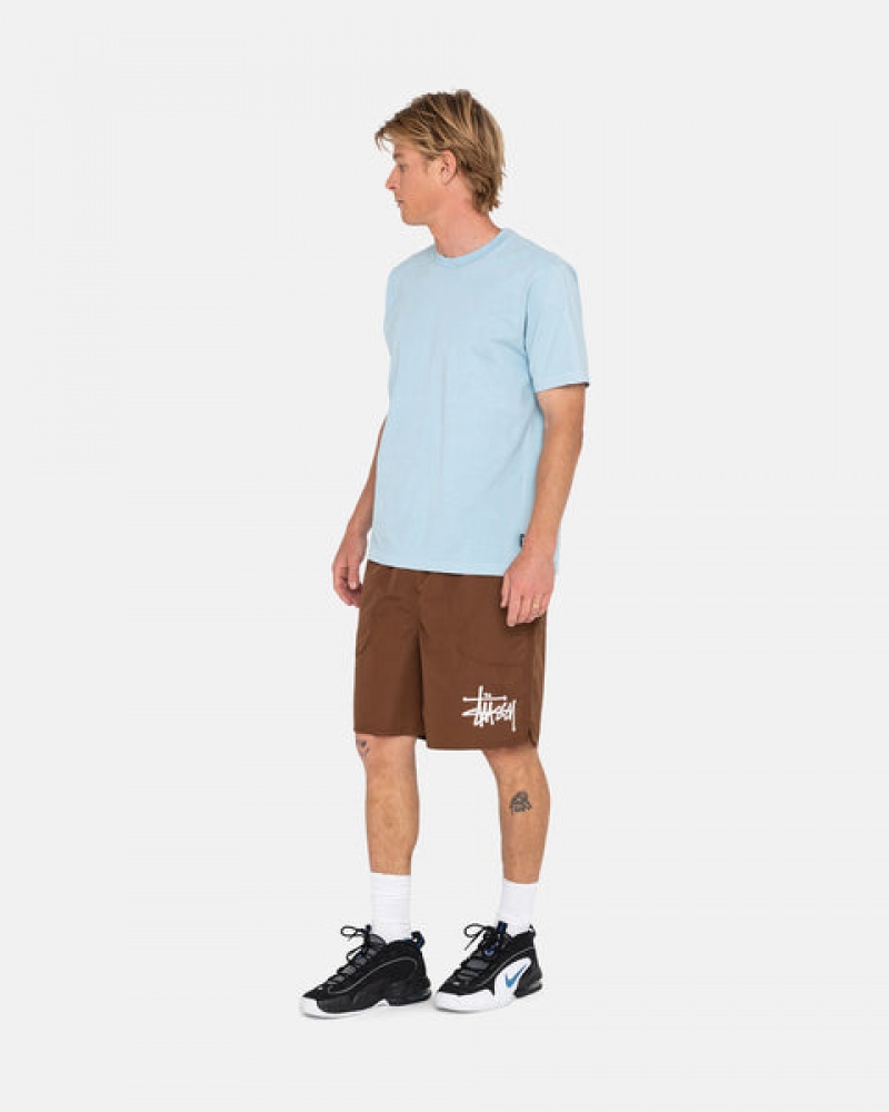 Men's Stussy Big Basic Water Short Swimwear Coffee Ireland | GIU-0226