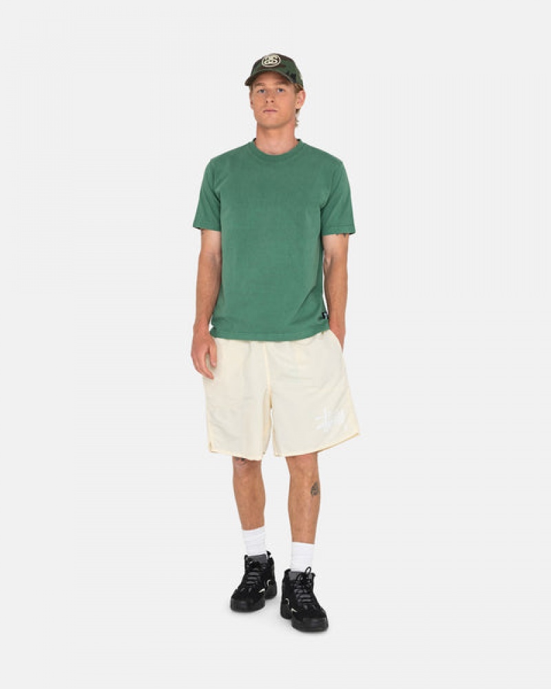 Men's Stussy Big Basic Water Short Swimwear Cream Ireland | SOS-0090