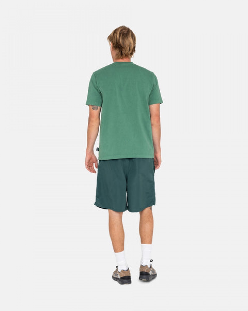 Men's Stussy Big Basic Water Short Swimwear Green Ireland | LPF-3403