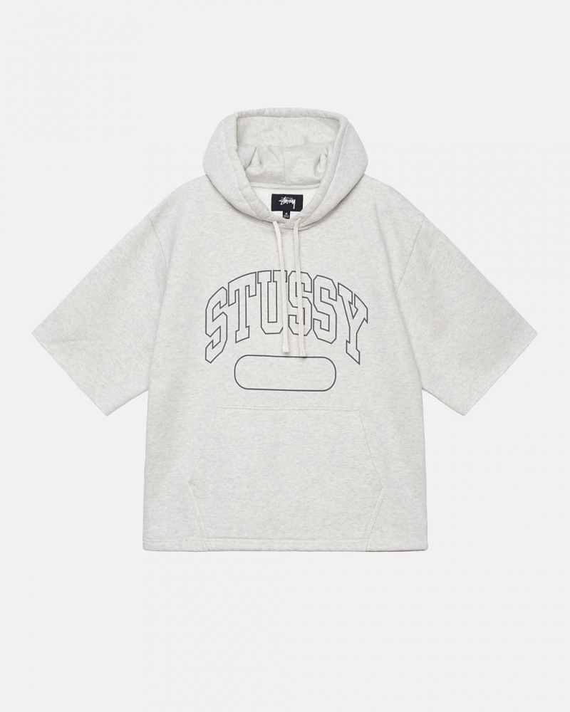 Men\'s Stussy Ss Boxy Cropped Hoodie Grey Ireland | JSQ-3753