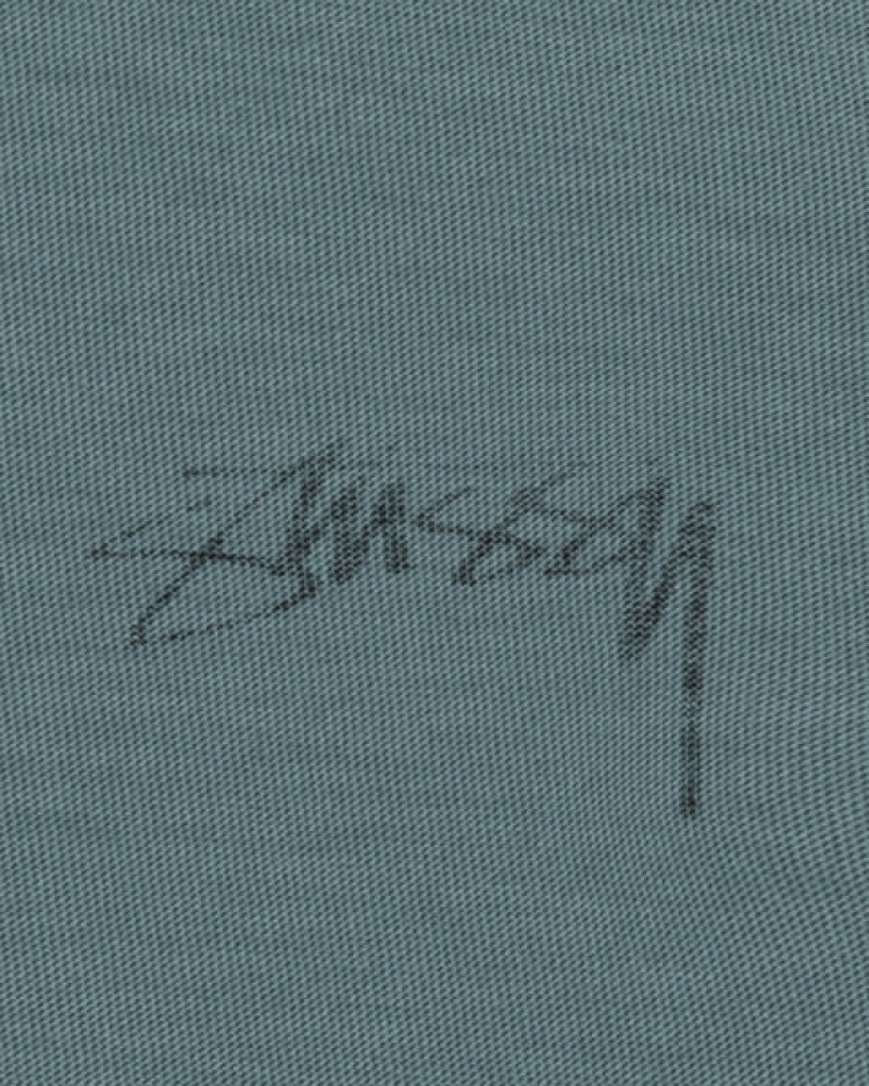 Women's Stussy Lazy Ls Tees Turquoise Ireland | FDC-5355