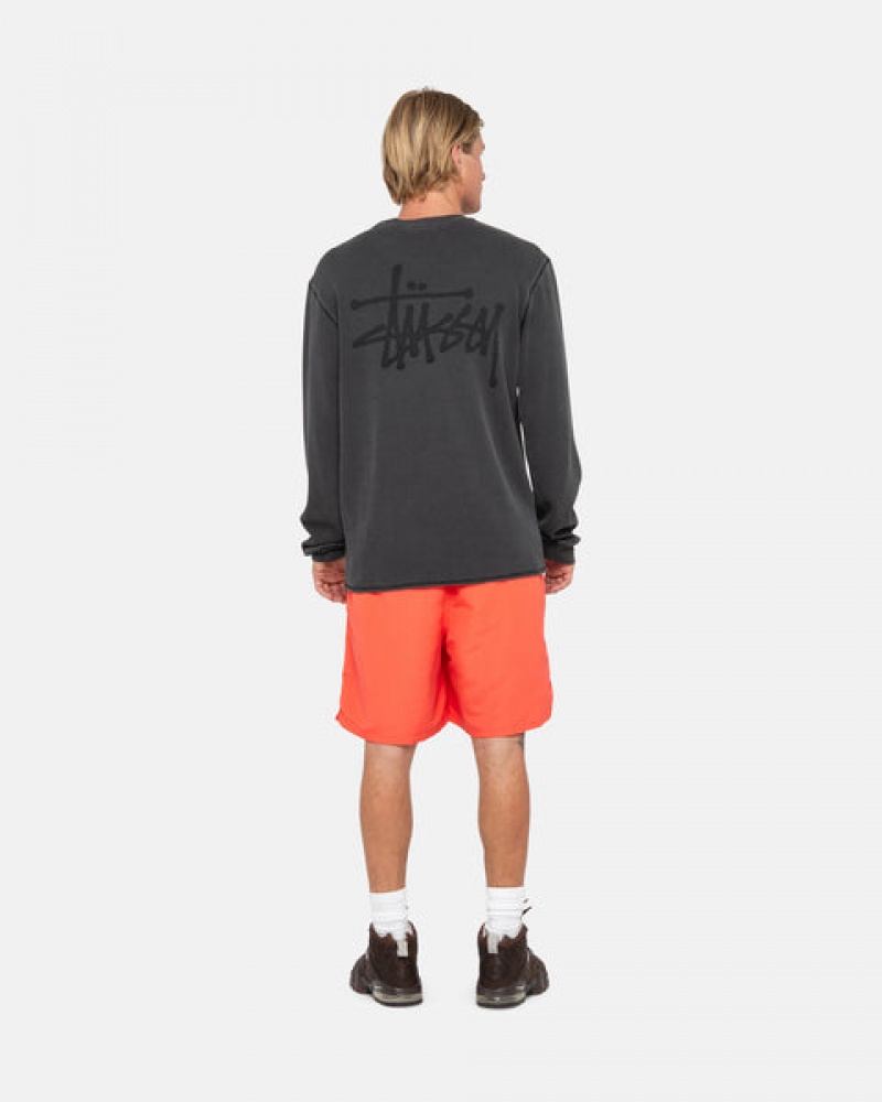 Women's Stussy Water Short Big Basic Shorts Coral Ireland | AXO-8613