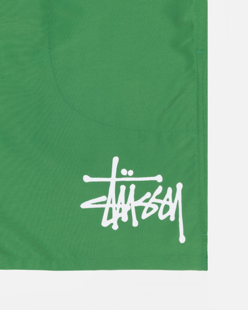 Women's Stussy Water Short Big Basic Shorts Green Ireland | DKF-3963