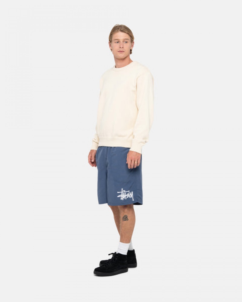 Women's Stussy Water Short Big Basic Shorts Navy Ireland | LVY-7439